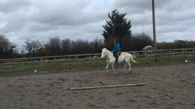 Freestyle Resubmit Level 4 - Pass 4 смотреть онлайн