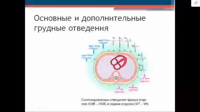 "ЭЛЕКТРОКАРДИОГРАФИЧЕСКИЕ ОТВЕДЕНИЯ" Кочмашева В.В. смотреть онлайн