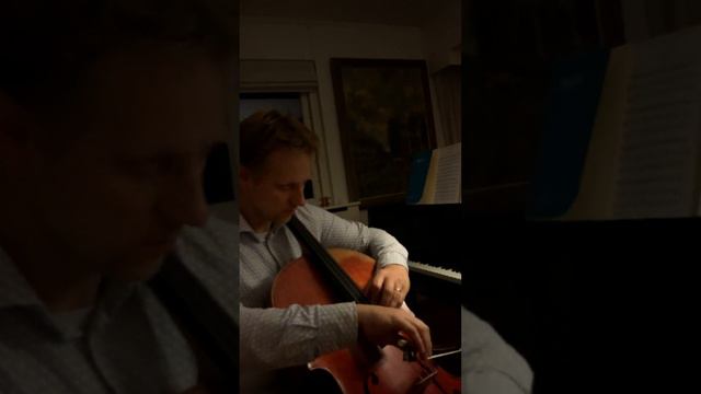 Michael Jackson- Smooth Criminal cello I Ephraim van IJzerlooij смотреть онлайн