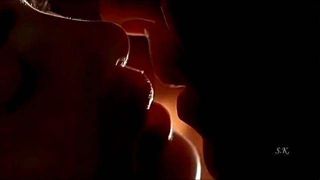 Максим Леонидов - Привет (перевод на иврит) | לאונידוב - שלום смотреть онлайн