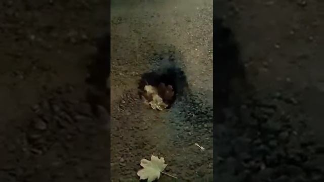 Дали отопление! смотреть онлайн