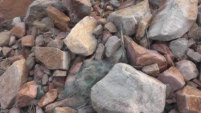 на рыбалку 29.07.2023. смотреть онлайн