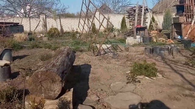 цветение бадана смотреть онлайн