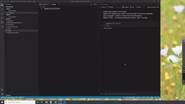 How to install Visual Studio Code and use it to run Python scripts in an interactive window смотреть онлайн