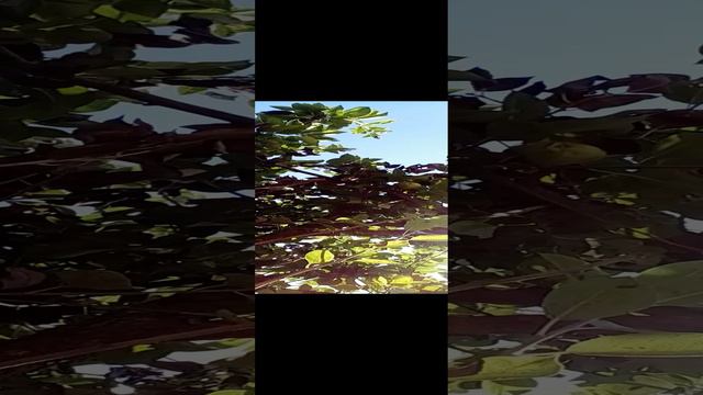 20240813_122850.mp4 смотреть онлайн