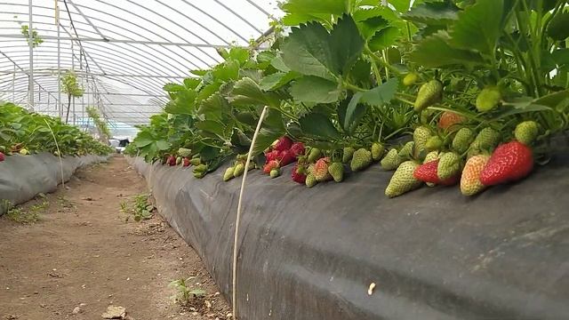 29 апреля 2021 г. смотреть онлайн