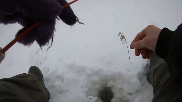 зимняя рыбалка 2019 на красноперку смотреть онлайн