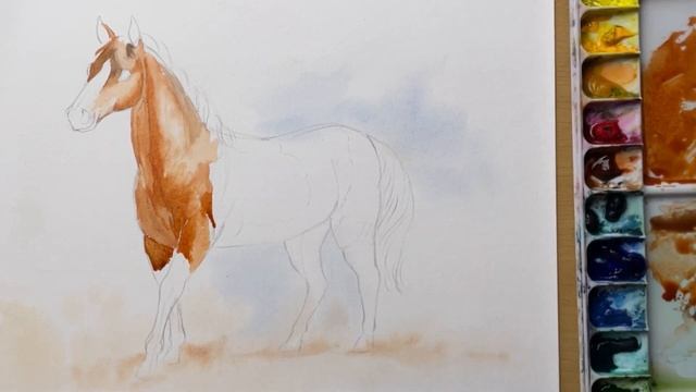 How to draw a horse with watercolour step by step смотреть онлайн