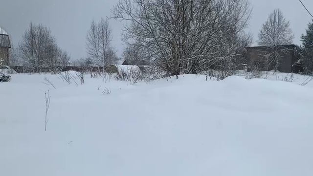 Видео 603 смотреть онлайн