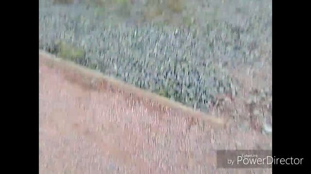 Влог "Лотос Плаза,, смотреть онлайн