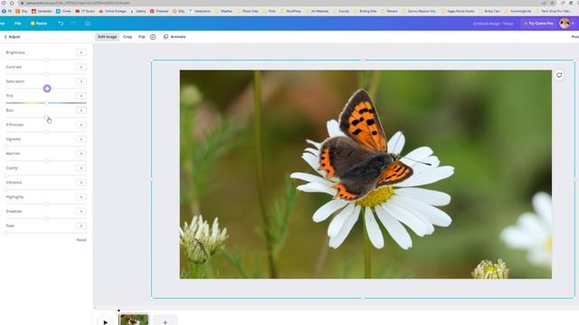 How to EDIT your ART Reference PHOTOS (FREE Software) смотреть онлайн