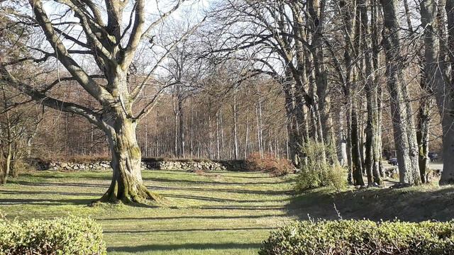 Danmark, du er mit land смотреть онлайн