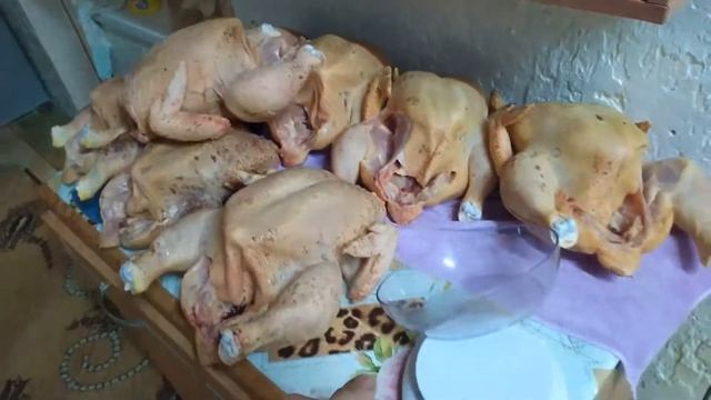 Бройлеры В 47 дней, взвешиваю! смотреть онлайн