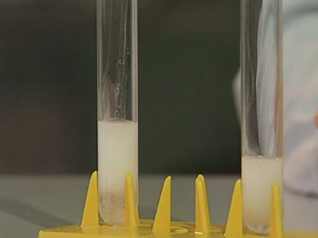 Химия. Опыты. Неорганика. Качественная реакция на сульфит- и сульфат- ионы смотреть онлайн