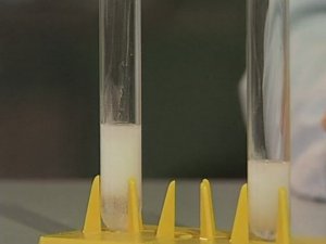 Химия. Опыты. Неорганика. Качественная реакция на сульфит- и сульфат- ионы