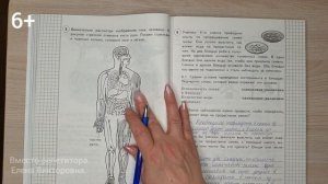 ВПР 2022 по окружающему миру в 4 классе. Разбор заданий 8 варианта.