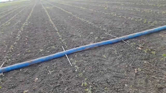 8 июня 2023 г. смотреть онлайн