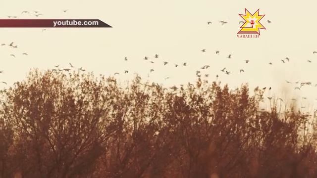 Кайăк кунĕ смотреть онлайн