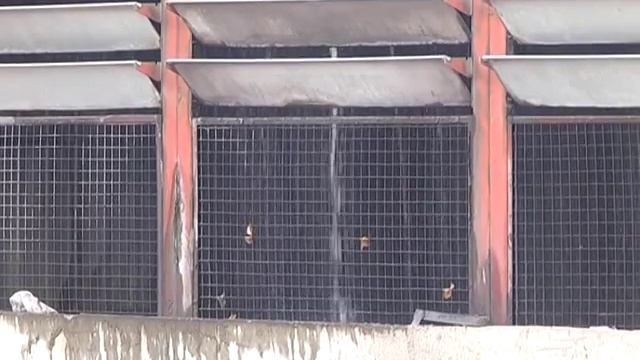 ПАО "ДМКД" водооборотный цикл смотреть онлайн