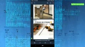 как в telegram переслать сообщение чтобы не было видно от кого /// лайфхак для телеграм