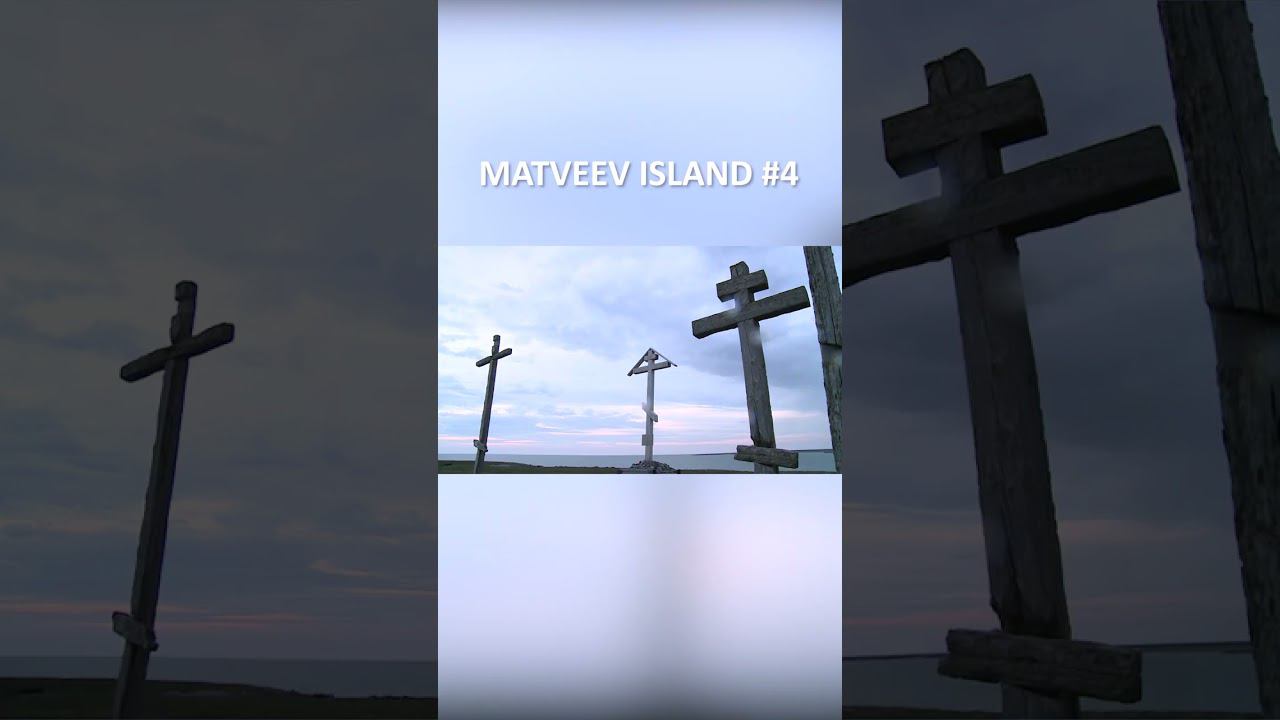 MATVEEV ISLAND 4 SHORTS #SHORTS смотреть онлайн