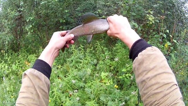 За Крупным ХАРИУСОМ и ЛЕНКОМ на Таежную Реку, Ходовая рыбалка! Рыбалка 2021 смотреть онлайн