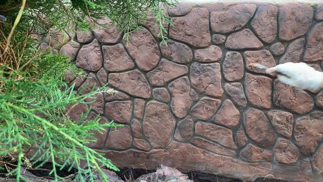 КАК И ЧЕМ ПОКРАСИТЬ ИСКУССТВЕННЫЙ КАМЕНЬ ИЗ БЕТОНА - DIY смотреть онлайн