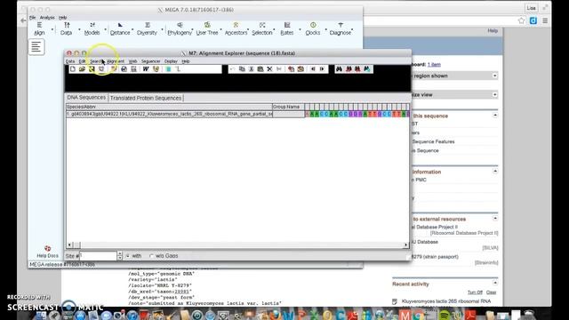 Creating Phylogenetic Trees Using NCBI & MEGA смотреть онлайн