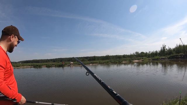 Много Карпа! Вот это РЫБАЛКА!!! Егорьевский Рыбокомбинат ЦНА. Чуть не сломали садок... смотреть онлайн