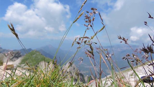 ВЕЛИКОЛЕПНАЯ ИНСТРУМЕНТАЛЬНАЯ МУЗЫКА для отдыха,души,покоя/////instrumental Musik////