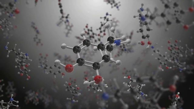 The Transformation Focusing on Life's Essentials смотреть онлайн