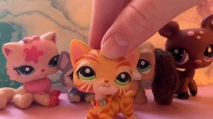 LPS:РАСПАКОВКА ЛПС???НОВЫЕ ПЕТЫ???2 ЧАСТЬ)