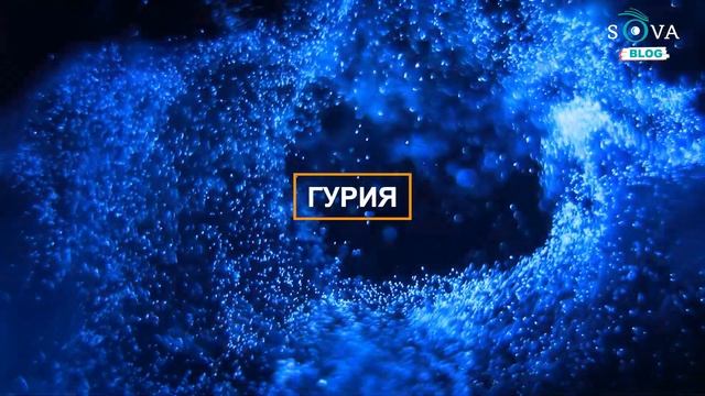 SOVA-блог: новогодние традиции в Грузии смотреть онлайн