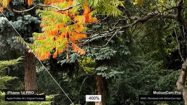 iPhone 14 Pro ProRes Vs MotionCam Raw Video Capture смотреть онлайн