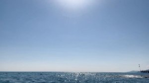 1❗️Турция, Алания отель Asia Beach Resort Spa Hotel, обзор: пляжа, завтрак, обед, ужин!