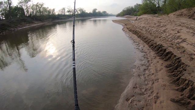 LETS GO FISH ALLIGATOR GAR смотреть онлайн
