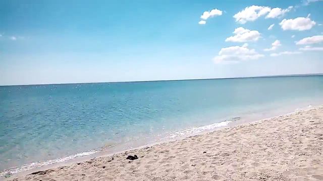 Беляус, Знаменское смотреть онлайн