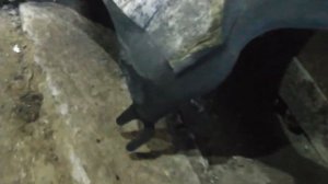 Замена ГРМ+помпа Ситроен Берлинго 1 6 2014 года