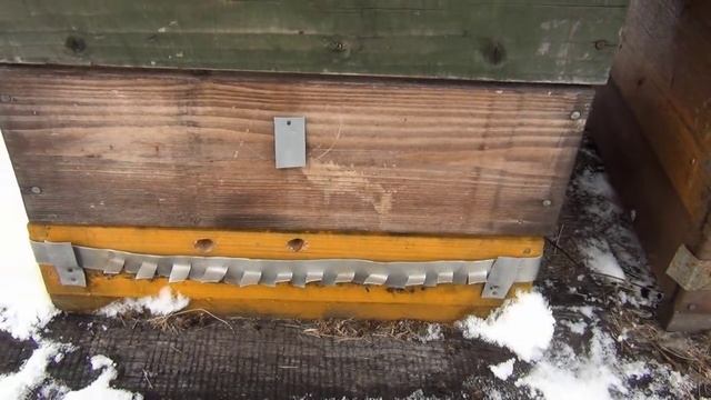Зачехляем ульи на зимовку смотреть онлайн