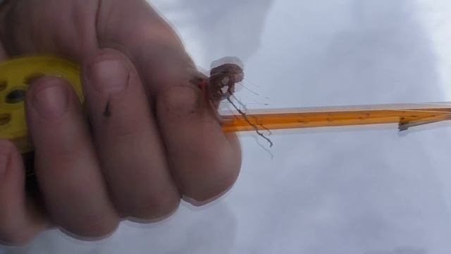 Рыбалка / На таежном ручье в конце марта / Республика Коми смотреть онлайн