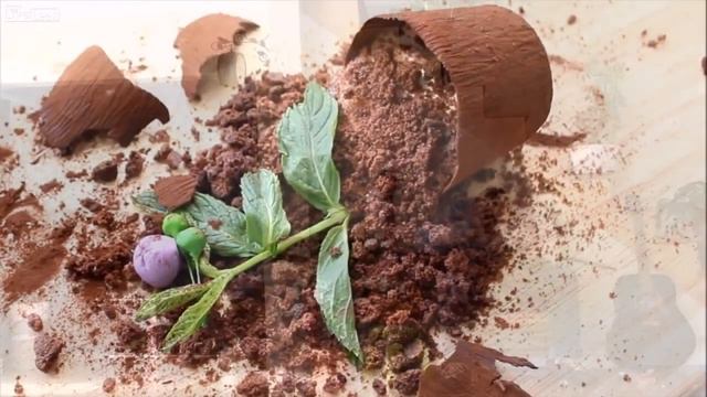 Весенний ветер шкодник профи смотреть онлайн