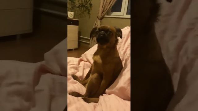 Какие говорящие глаза. смотреть онлайн