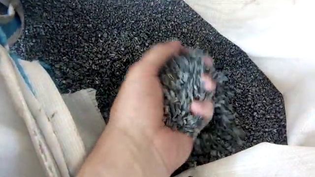 Строительный Колорит