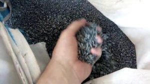 производство ПНД и ПВД трубы