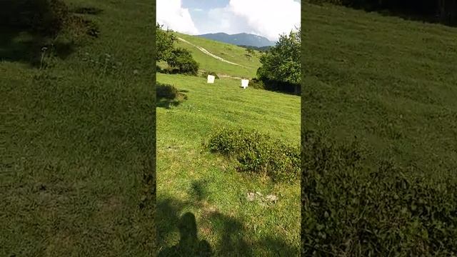 Бенелли -короткий ствол мелкой дробью смотреть онлайн