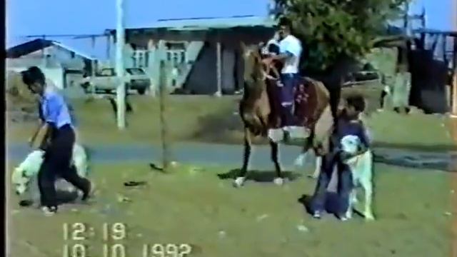 Туркмения Ашхабад 1992 Легендарный собаковод Какыш Кяризов Туркменский Волкодав Turkmendog alabai смотреть онлайн