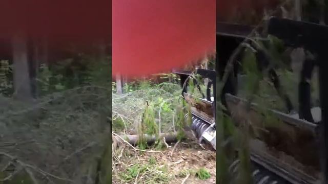 валтра смотреть онлайн