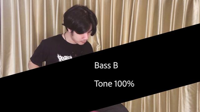 Guess The Bass , Fender Precision Bass Comparison USA vs JAPAN // can u tell the difference? смотреть онлайн