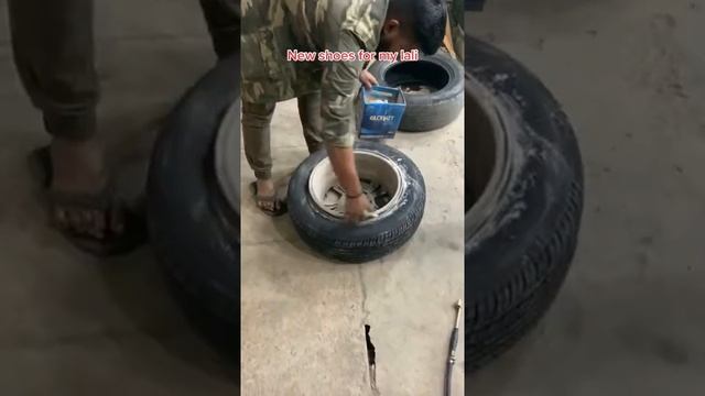 New shoes for my toyota ist смотреть онлайн