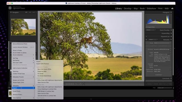 Update 1.7.0 | Additional plugin functionality | Luminar Neo смотреть онлайн